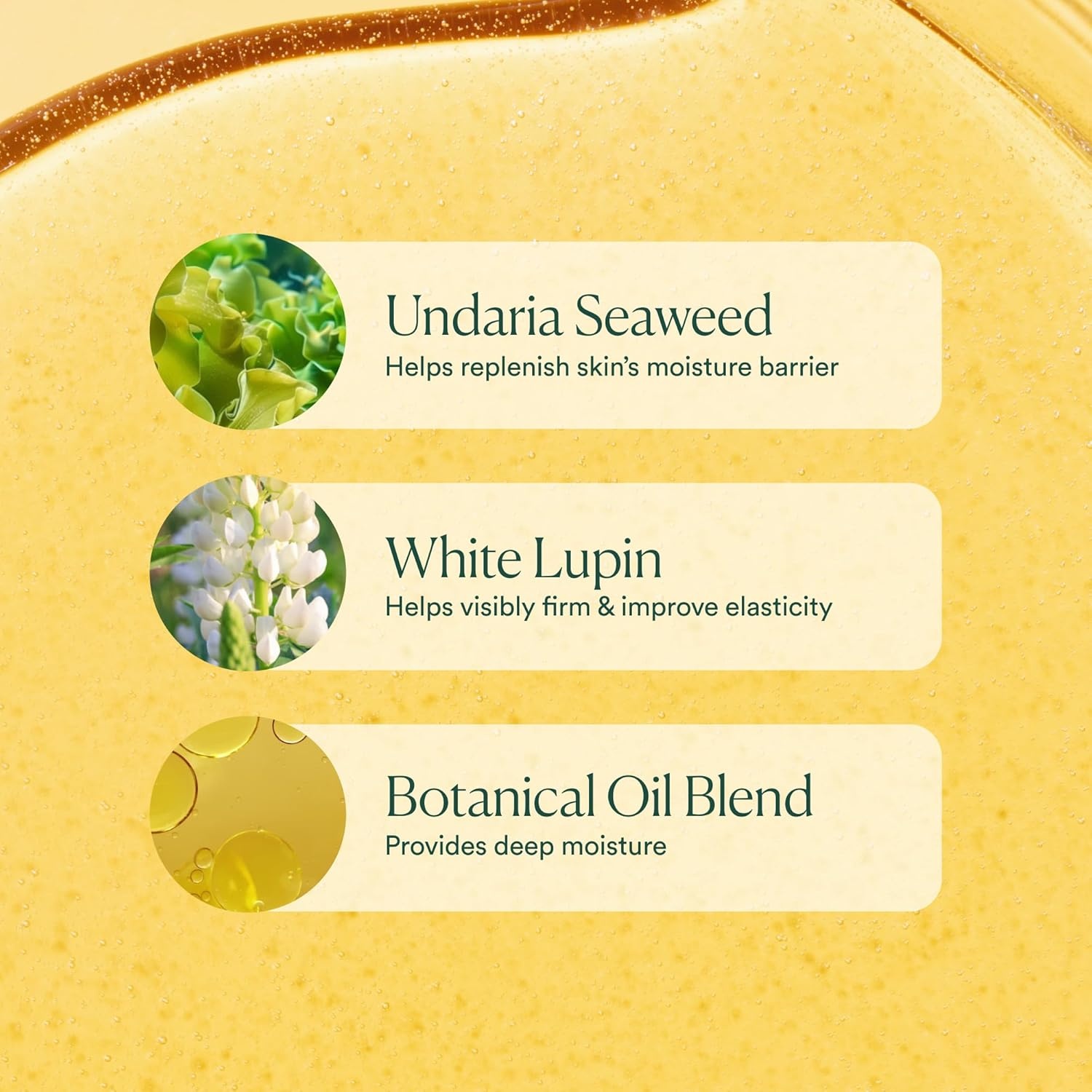image:imageOSEA Undaria Algae Body Oil 5 oz Visibly Firming Deeply Moisturizing Instantly Improve Elasticity Clean Lightweight NonGreasy Hydration Vegan amp CrueltyFree Seaweed Skincare5 Fl Oz Pack of 1