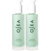 4 Fl Oz (Pack of 2)